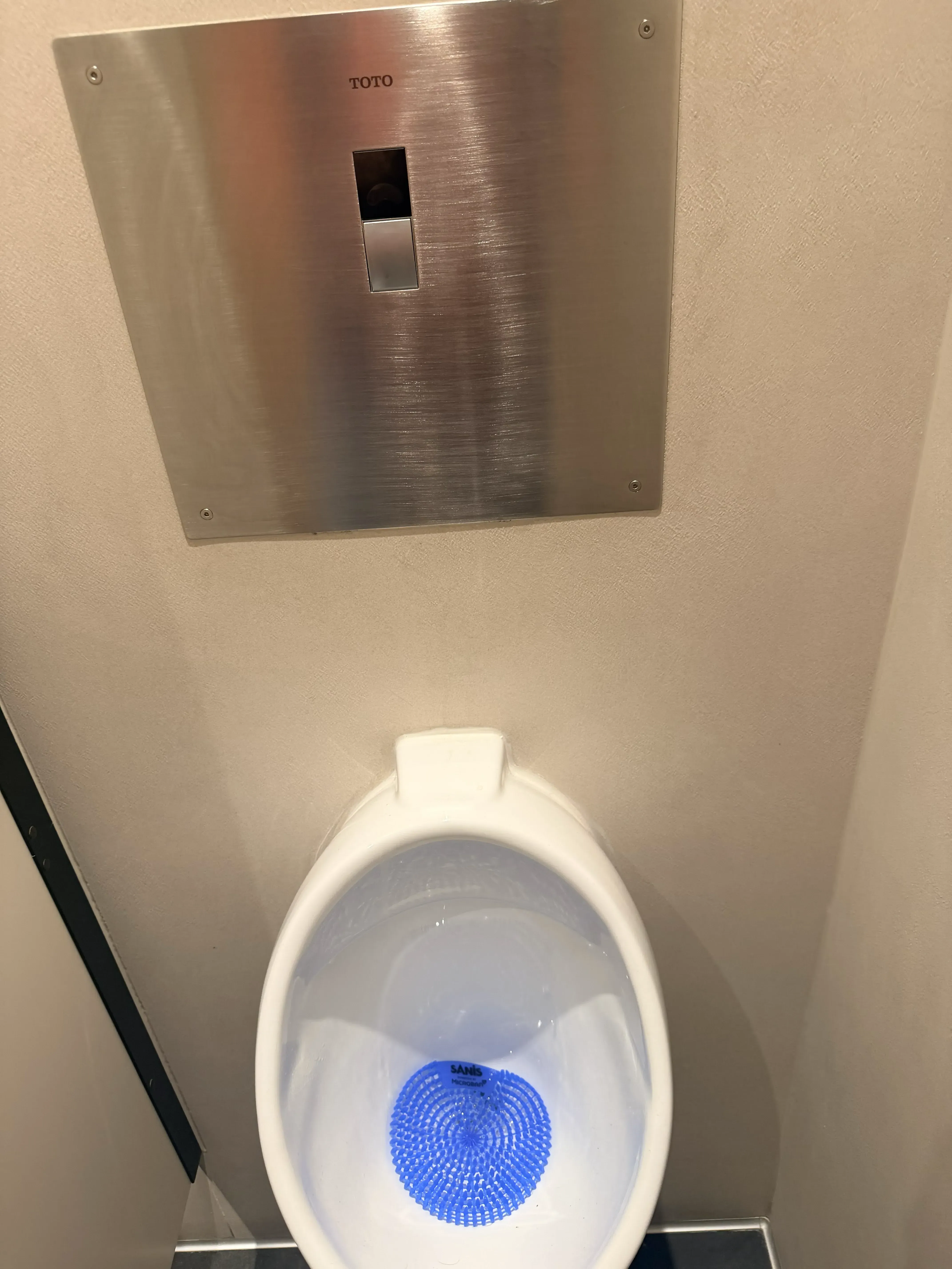 Bathroom camera at urinal