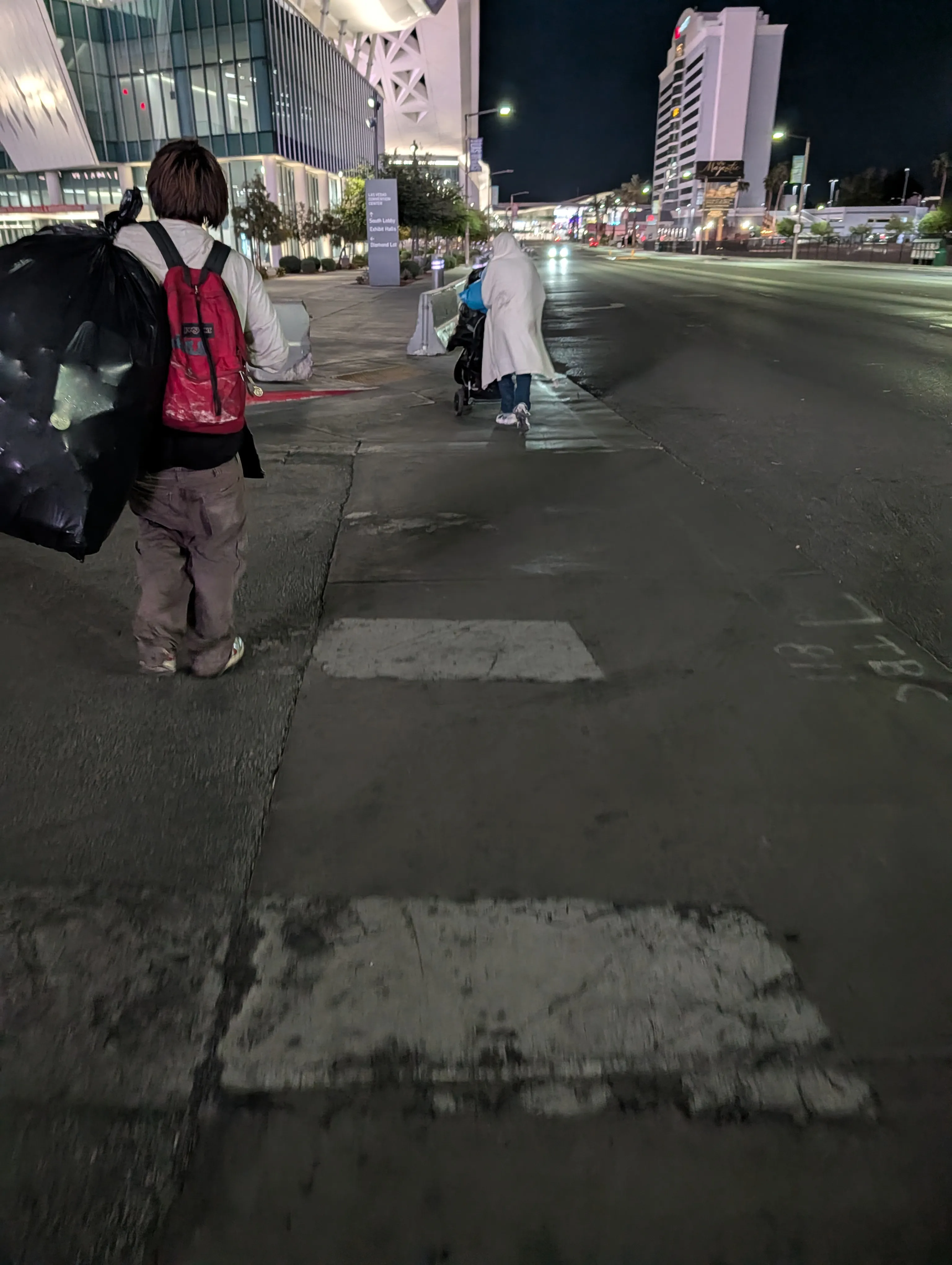 Shopping carts against the towers